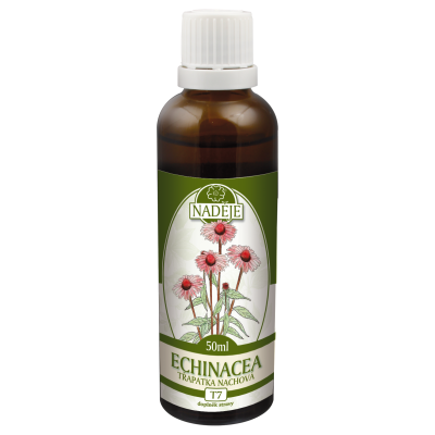 Echinacea - vluh z bylin 50 ml