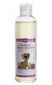 DTSK AMPON S MEDEM A HEMNKEM TONK 200ml