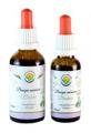 Bacopa monnieri - Brahmi AF tinktura 50ml
