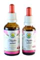 Echinacea - Tapatka nachov AF tinktura 50ml
