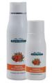 Bahenn ampon s rakytnkem 500 ml