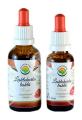 Lesklokorka leskl AF tinktura 50ml