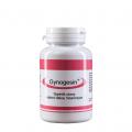 Gynogesin® 60 kapsl