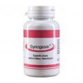 Gynogesin® 120 kapsl