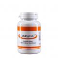 Endogesin® 60 kapsl