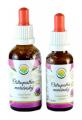 Ostropestec marinsk AF tinktura 50ml